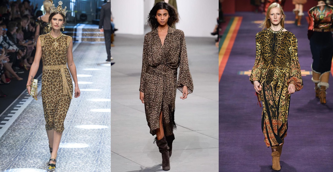 light124_jpg_5875_north_1160x_white