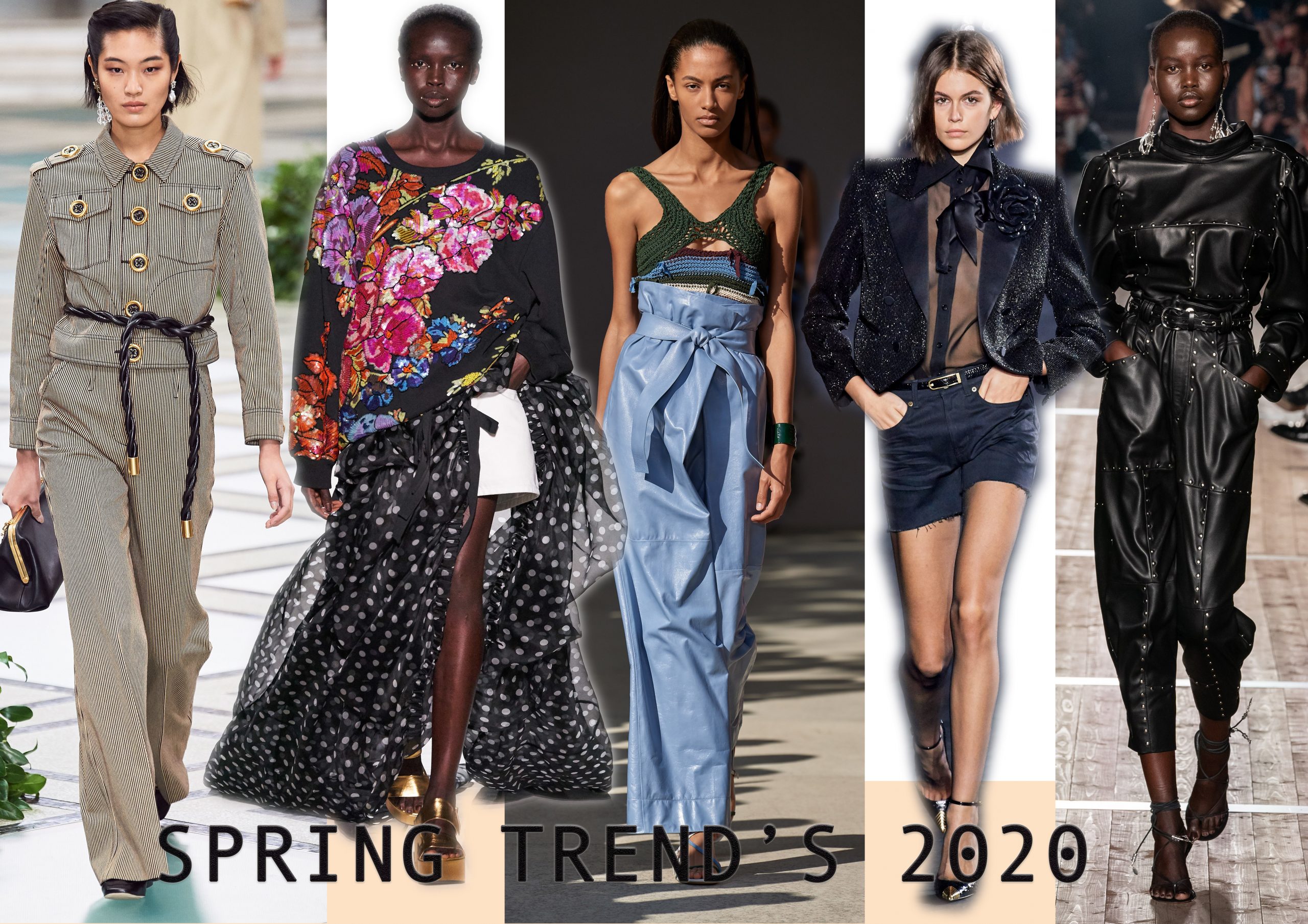 TREND scaled